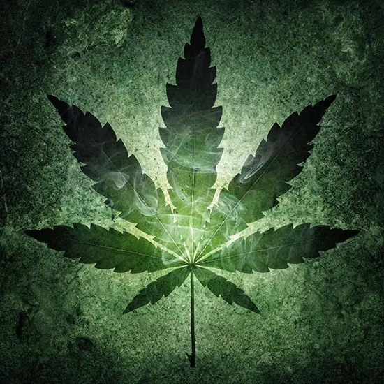 Close-up image of single marijuana leaf on green background.